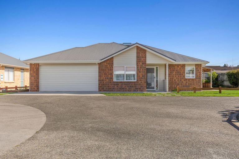 Photo of property in 8b Smith Street, Matamata, 3400