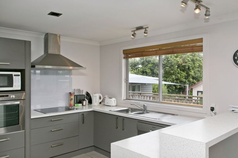 Photo of property in 187 Tamamutu Street, Taupo, 3330