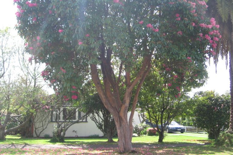 Photo of property in 40&40a Lynmore Avenue, Lynmore, Rotorua, 3010