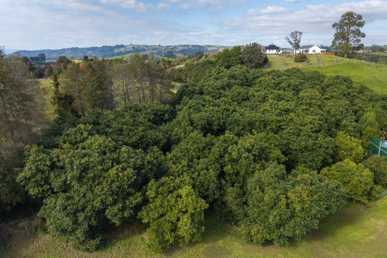 Photo of property in 143 Youngson Road, Whakamarama, Tauranga, 3179