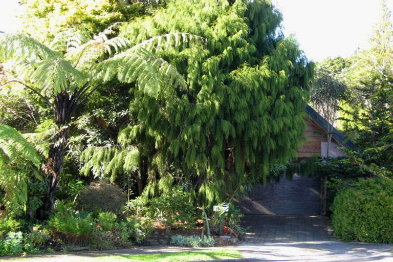 Photo of property in 5 Halsey Street, Levin, 5510