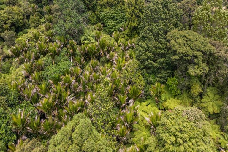 Photo of property in 34 Awhiorangi Promenade, Swanson, Auckland, 0816