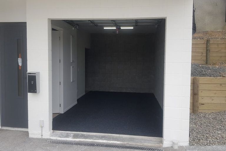 Photo of property in 117 Tiketike Way, Brooklyn, Wellington, 6021