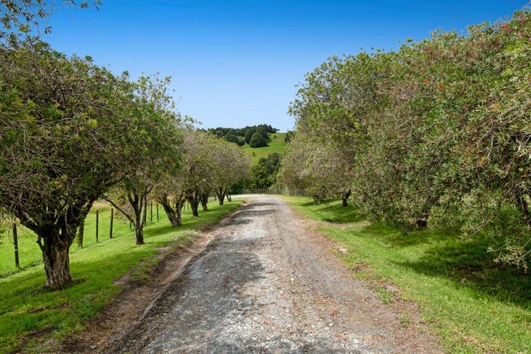 Photo of property in 1178 Pohuehue Road, Pohuehue, Warkworth, 0983