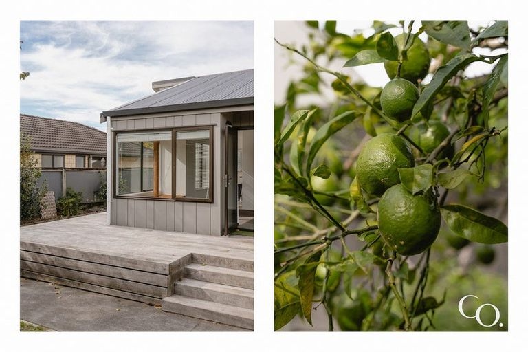 Photo of property in 103b Eighteenth Avenue, Tauranga South, Tauranga, 3112