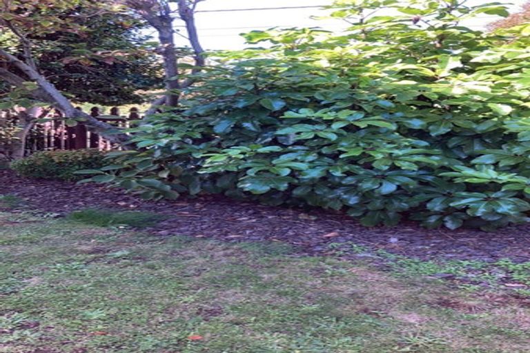 Photo of property in 7 Sparks Road, Somerfield, Christchurch, 8024