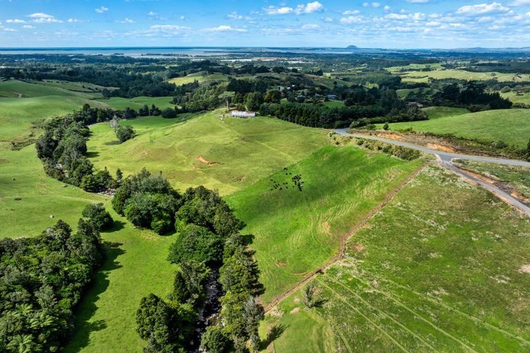 Photo of property in 424a Hot Springs Road, Tahawai, Katikati, 3178