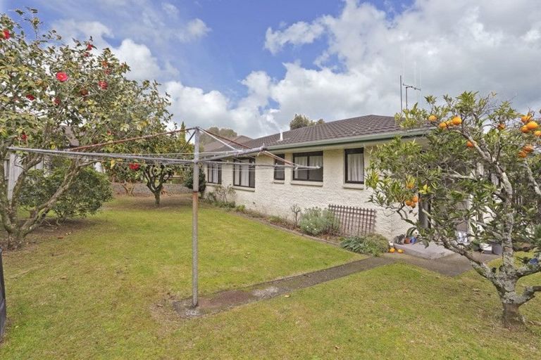 Photo of property in 2 Moehau Street, Te Puke, 3119