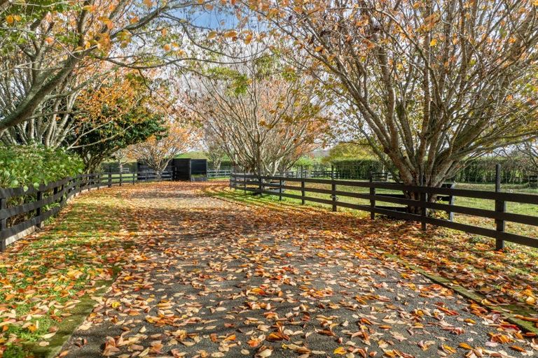 Photo of property in 2242 State Highway 26, Motumaoho, Morrinsville, 3372