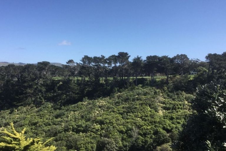 Photo of property in 12a Upoko Road, Hataitai, Wellington, 6021