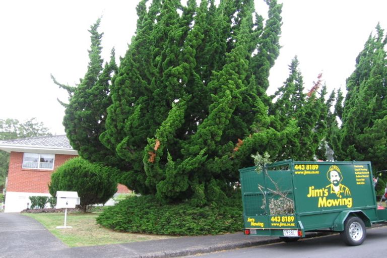 Photo of property in 6 Munstead Place, Hillcrest, Auckland, 0627