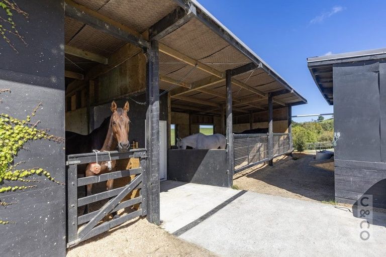 Photo of property in 349 Fordyce Road, Helensville, 0874