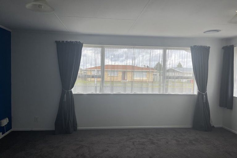 Photo of property in 63 Hinemoa Street, Levin, 5510