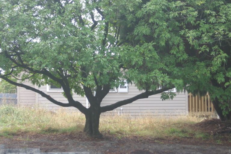 Photo of property in 3 Rimu Street, New Lynn, Auckland, 0600