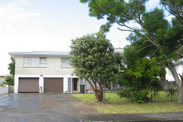 Photo of property in 20 Tatariki Street, Rosehill, Papakura, 2113