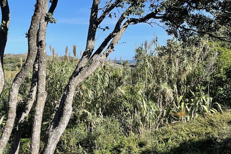 Photo of property in 4 Watchmans Road, Karekare, Auckland, 0772