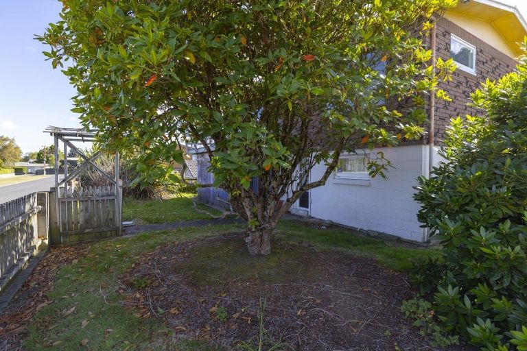 Photo of property in 21 Duncan Street, Taupo, 3330