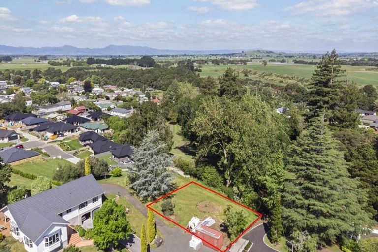 Photo of property in 10 Memorial Rise, Morrinsville, 3300
