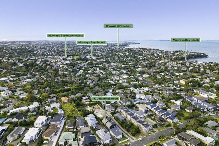 Photo of property in 47d Hastings Road, Mairangi Bay, Auckland, 0630