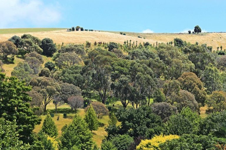 Photo of property in 12a Dolbel Street, Taradale, Napier, 4112