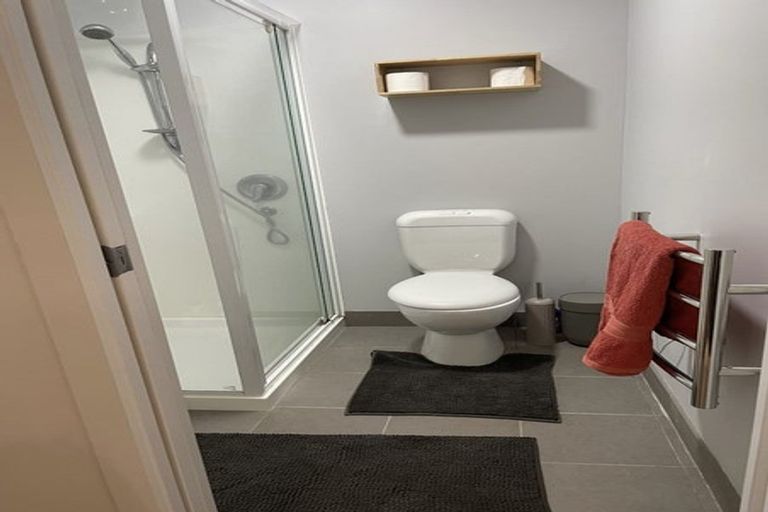 Photo of property in 464u3 Adelaide Road, Berhampore, Wellington, 6023