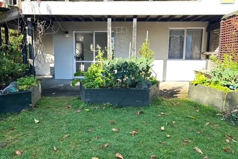 Photo of property in 105 Pohutukawa Avenue, Ohope, 3121