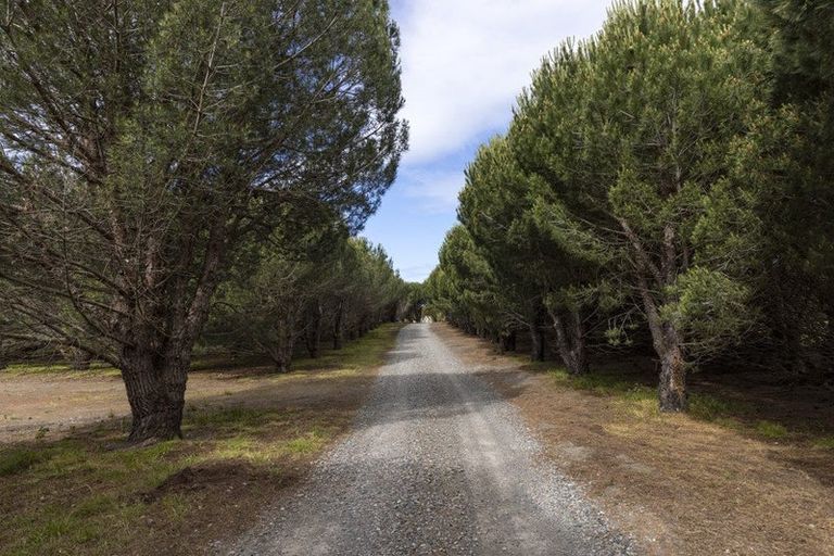 Photo of property in 16 Hinepango Drive, Rarangi, Blenheim, 7273