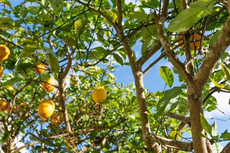 Photo of property in 120 Abbey Caves Road, Abbey Caves, Whangarei, 0175