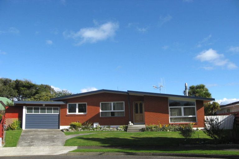 Photo of property in 6 Halsey Street, Levin, 5510