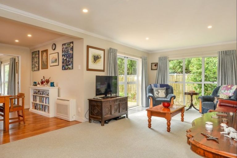 Photo of property in 38b Mcmaster Street, Greytown, 5712