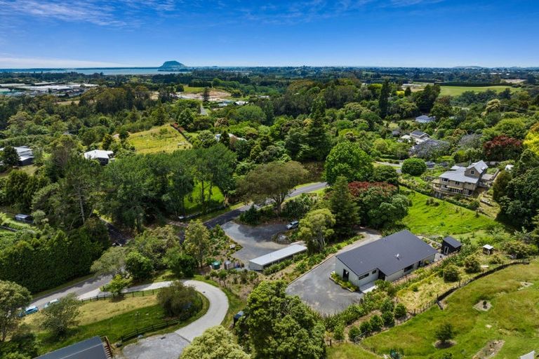 Photo of property in 5 Corbett Drive, Minden, Tauranga, 3176