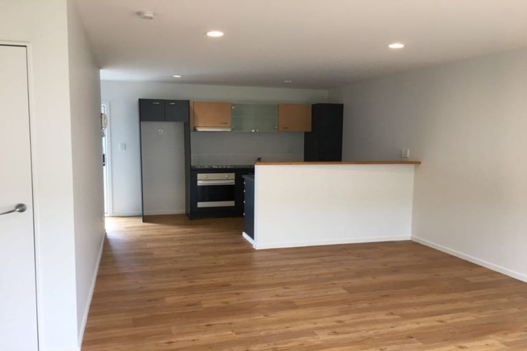 Photo of property in 99 Mays Road, St Albans, Christchurch, 8052