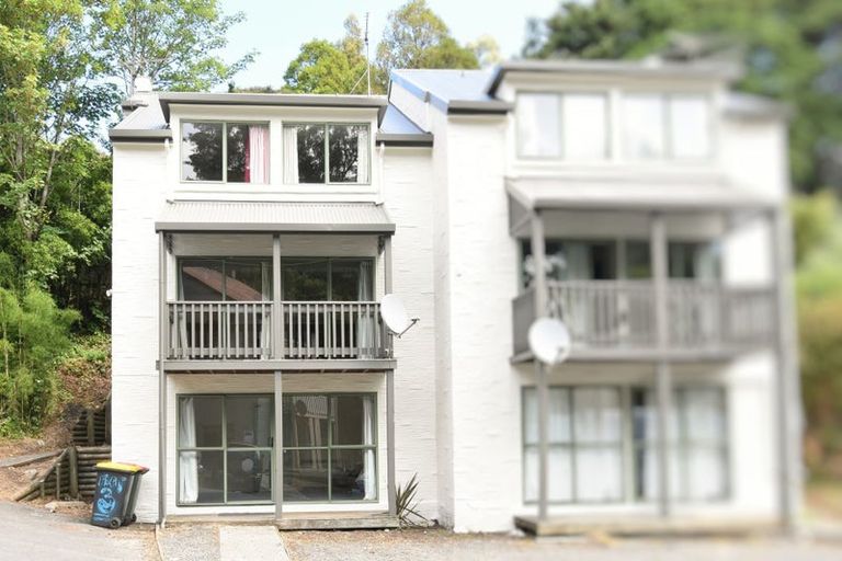 Photo of property in 63 Opoho Road, North East Valley, Dunedin, 9010