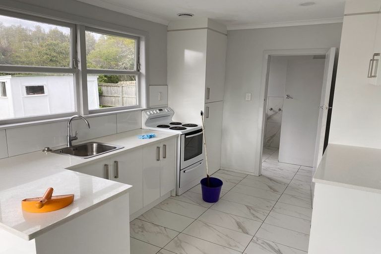 Photo of property in 73 Sylvia Road, Hillcrest, Auckland, 0627