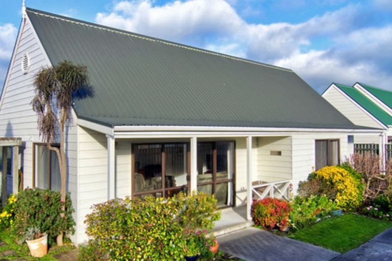 Photo of property in 23a Cole Street, Masterton, 5810