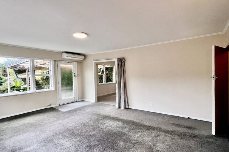 Photo of property in 50 Randwick Road, Northland, Wellington, 6012