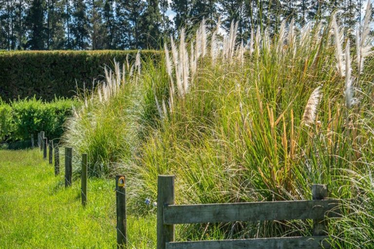 Photo of property in 49 Ashworths Road, Amberley, 7481