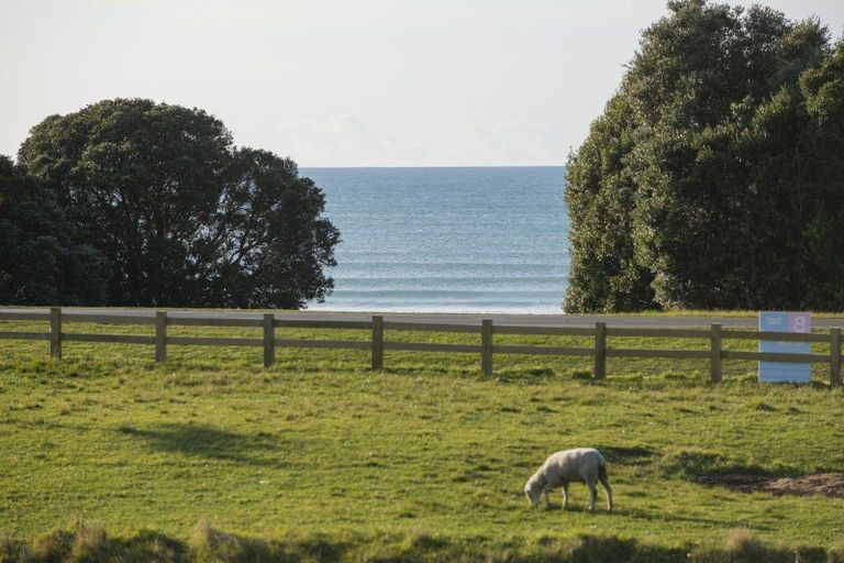 Photo of property in 858 Wainui Road, Wainui, Gisborne, 4010