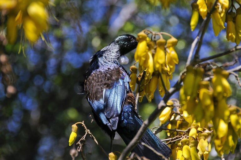 Photo of property in 10a Cooper Avenue, Holdens Bay, Rotorua, 3010