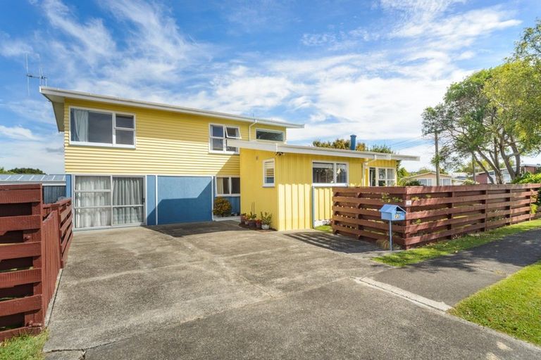 Photo of property in 80 Sherwill Street, Feilding, 4702