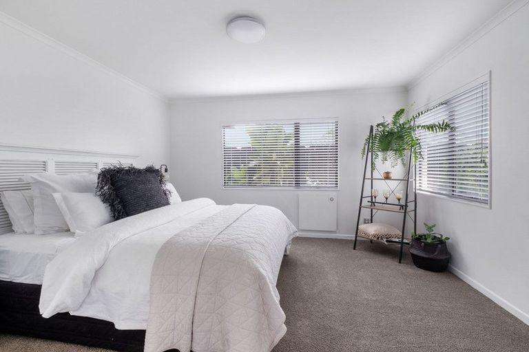 Photo of property in 54b Campbell Road, Mount Maunganui, 3116