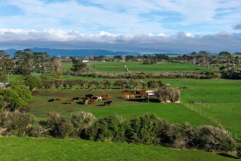 Photo of property in 45 Karioitahi Road, Waiuku, 2683