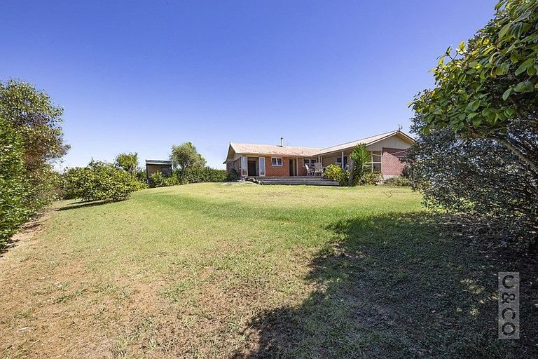 Photo of property in 93 Lloyd Road, Riverhead, Albany, 0793