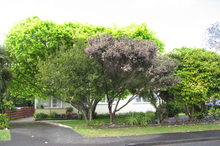 Photo of property in 14 Tatariki Street, Rosehill, Papakura, 2113
