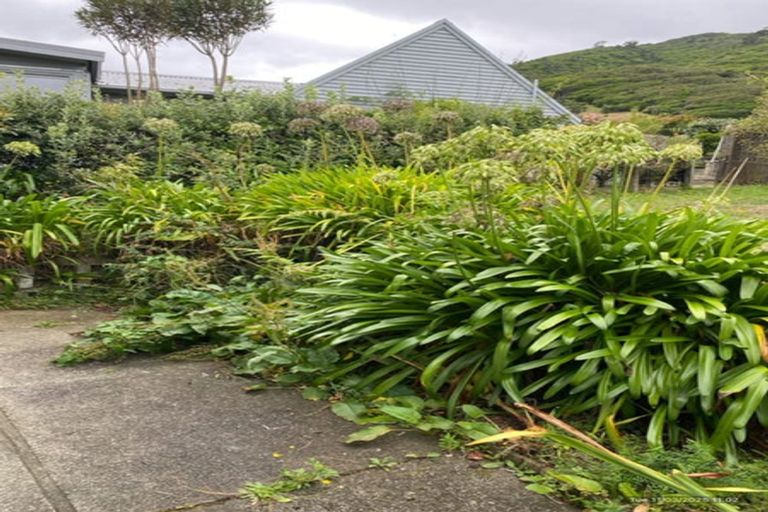 Photo of property in 9 Kotare Street, Waikanae, 5036