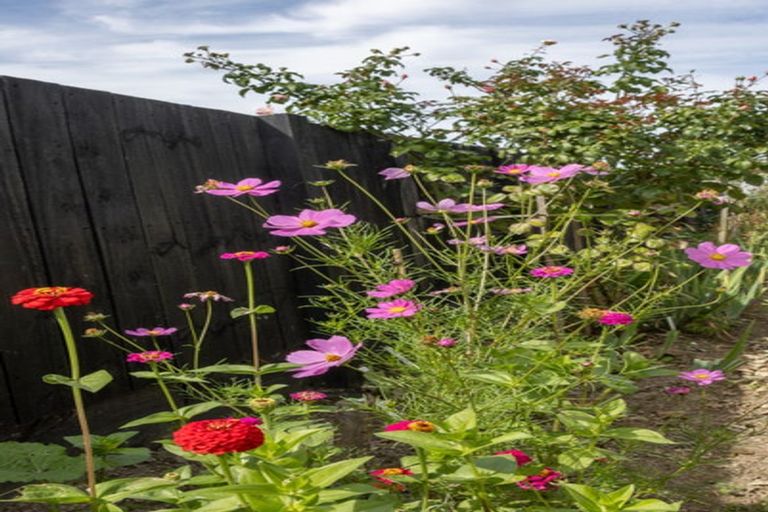 Photo of property in 6 Matau Close, Te Kauwhata, 3710