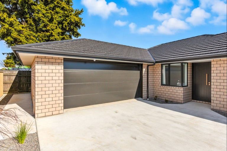 Photo of property in 21a Weraroa Road, Levin, 5510