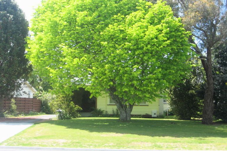 Photo of property in 39 Robinson Street, Cambridge, 3434