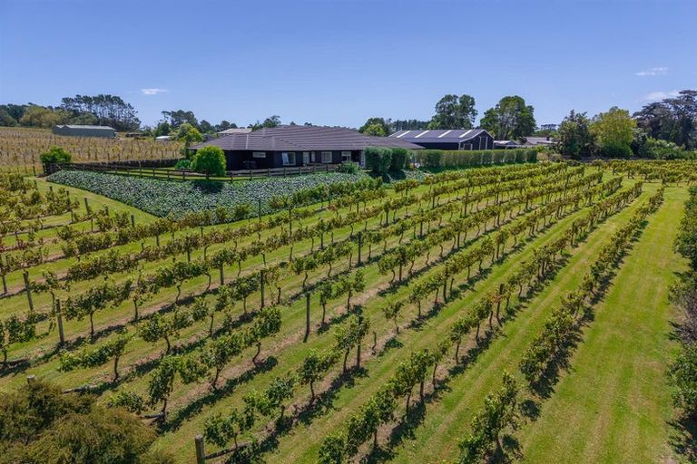 Photo of property in 583 State Highway 16, Kumeu, 0891