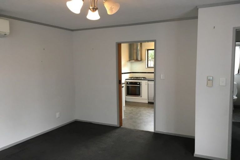 Photo of property in 115f3 Owen Street, Newtown, Wellington, 6021